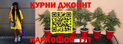 Альфа ПВП Ачхой-Мартан