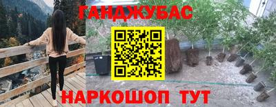 Альфа ПВП Ачхой-Мартан