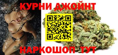 Альфа ПВП Ачхой-Мартан